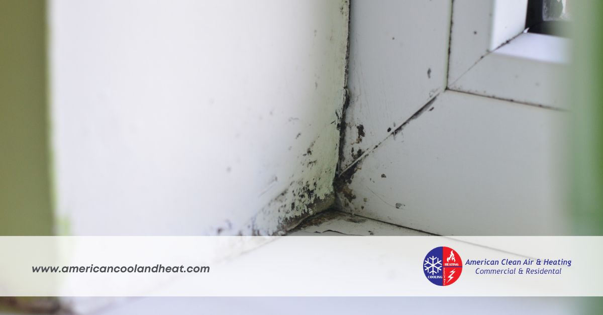 Mold Around Vents